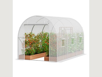 Image 1 of 12