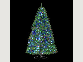 Image 1 of 8