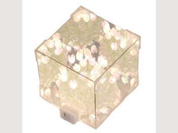 Image 1 of 8