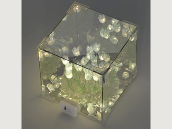 Image 1 of 8