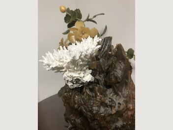 Image 1 of 11
