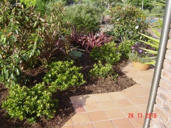 Image 1 of 14