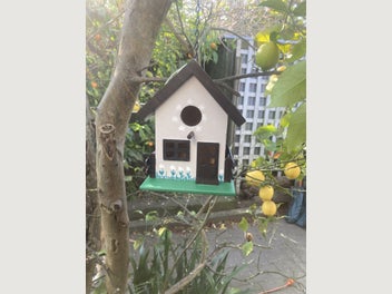 Image 1 of 5
