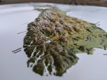 Image 1 of 8