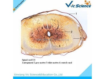 Image 1 of 9