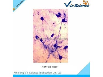 Image 1 of 9
