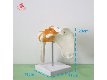 Image 1 of 10