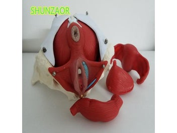Image 1 of 6
