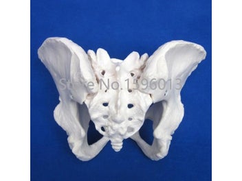 Image 1 of 8