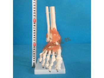 Image 1 of 9