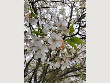 Image 1 of 14