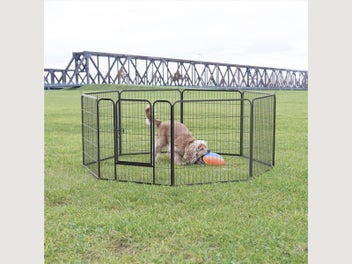 Image 1 of 7