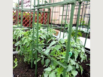 Image 1 of 8