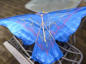 Image 1 of 7