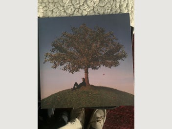Image 1 of 9