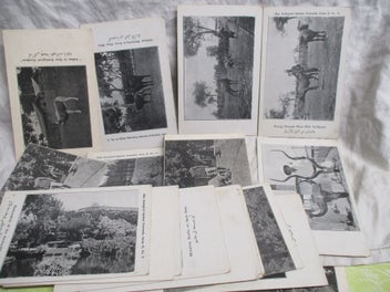 Image 1 of 11
