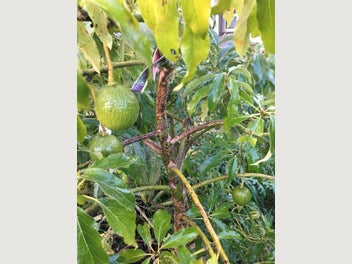 Image 1 of 4