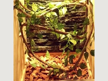 Image 1 of 9