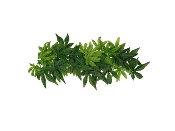 Image 1 of 9