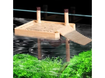 Image 1 of 9