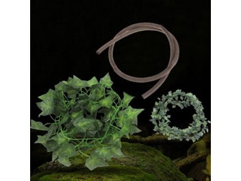 Image 1 of 9