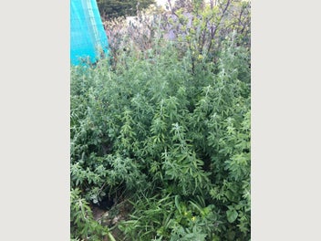 Image 1 of 11
