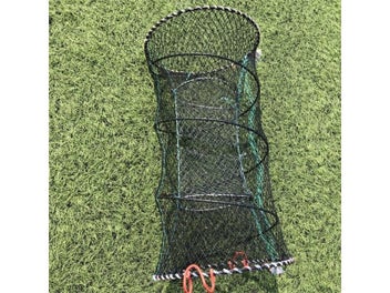 Image 1 of 9