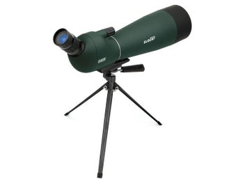Image 1 of 10
