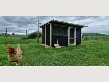Image 1 of 7