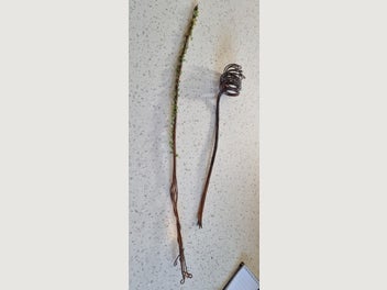 Image 1 of 8