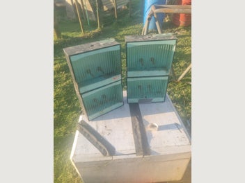 Image 1 of 6