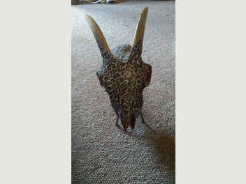 Image 1 of 5