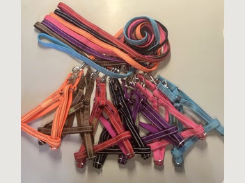 Image 1 of 11
