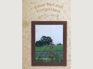 Image 1 of 8