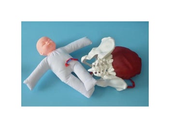 Image 1 of 8