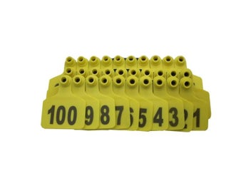 Image 1 of 9