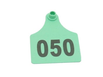 Image 1 of 9