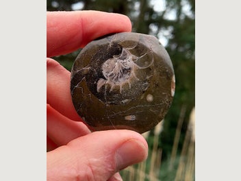 Image 1 of 8