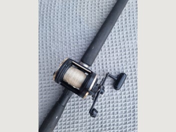 Image 1 of 15