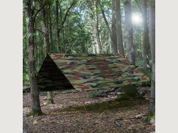 Image 1 of 15