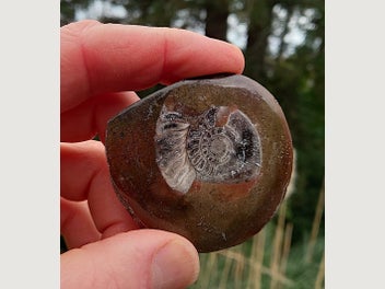 Image 1 of 8
