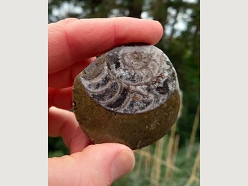 Image 1 of 8