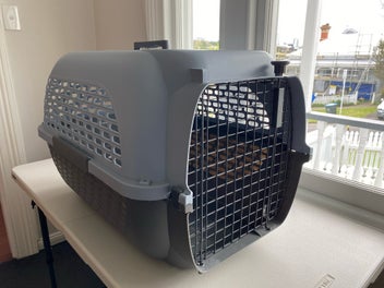Image 1 of 7
