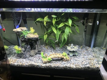 Image 1 of 11