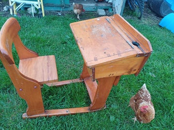 Image 1 of 5