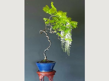 Image 1 of 8