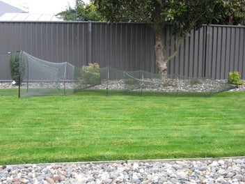 Image 1 of 11