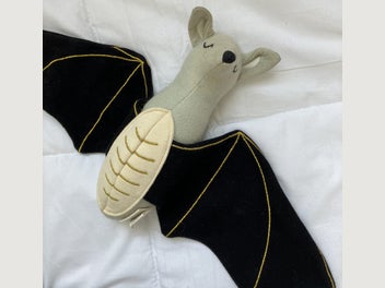 Image 1 of 11
