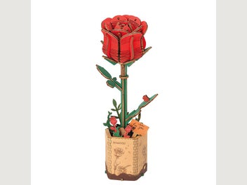 Image 1 of 6