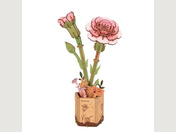 Image 1 of 7